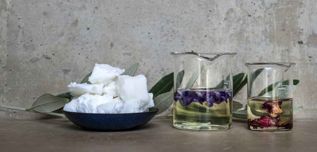 Understanding The Link Between Fragrance and Memory