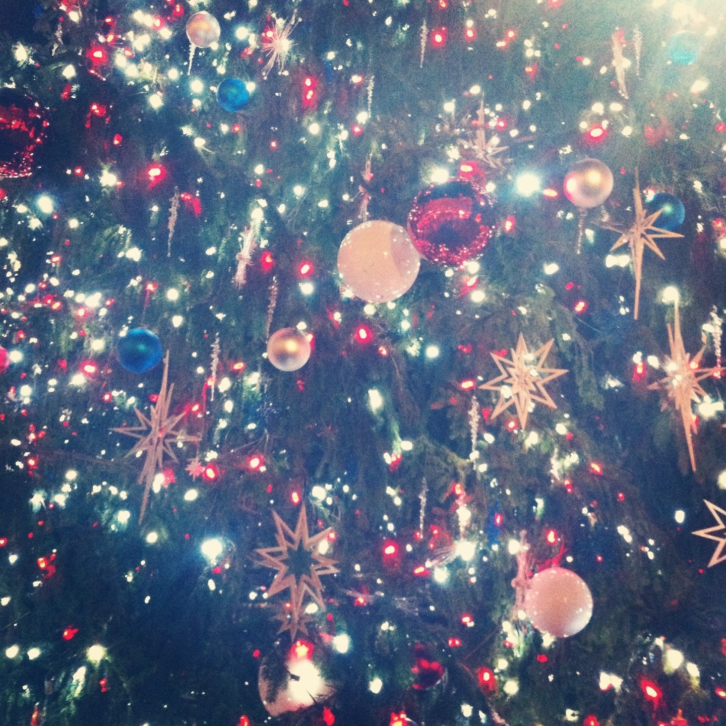 The Senteurs Guide to the Holiday Season in NYC