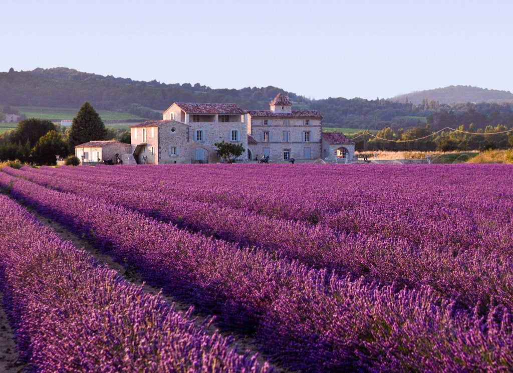 Exploring Grasse: The Perfume Capital of the World